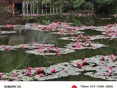 -野象谷景区