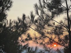 -重庆睡佛山森林公园