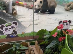 -灵玲国际马戏城