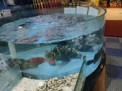 -明珠海港大酒店