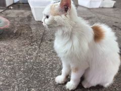 -双季花艺园艺市场(浦东店)