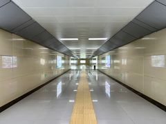 -烟台市博物馆