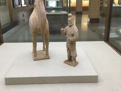 -敦煌市博物馆
