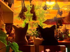 -Kitchen·Y洋厨房西餐厅(王府壹号店)