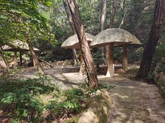 -金龙寺国家森林公园