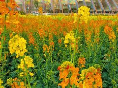 -中国天府农业博览园