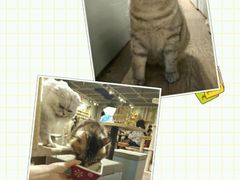 -小时光咖啡馆(开森度假森林店)