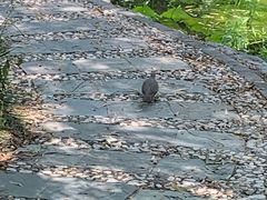 -丰台科技园生态主题公园