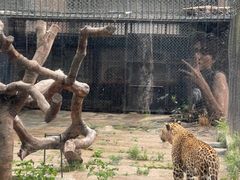 -深圳野生动物园