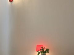 -Babycat私家御饼屋(龙头路一店)