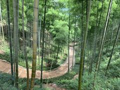 -径山寺