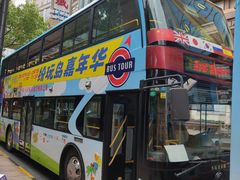 -BUS TOUR观光巴士