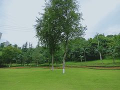 -龙头寺公园
