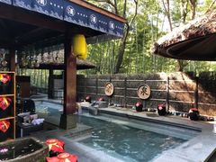 -天目湖御水温泉·度假酒店