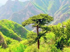 -圣莲山风景区