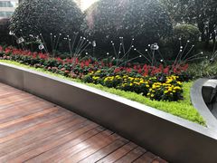 -花园5號餐厅