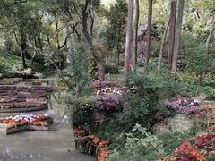 -汇龙潭