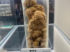 -广东中医药博物馆