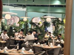 -春润大地海南椰子鸡(沙井京基百纳广场店)
