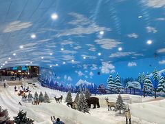 -世界之窗阿尔卑斯冰雪世界