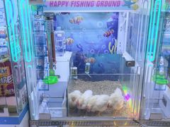 -天虹购物中心(深圳龙华店)