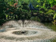 -上海醉白池公园