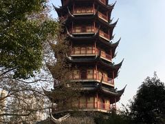 -红梅公园