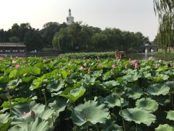 -北京大学第一医院妇产儿童医院