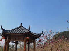 -笋爷高汤嗦螺粉·螺蛳粉(上社店)