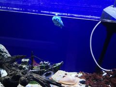 -MOJO密室逃脱(中街旗舰店)