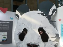 -西安大唐西市博物馆