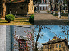 -山东大学(趵突泉校区)