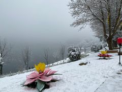 -秦岭终南山世界地质公园翠华山景区