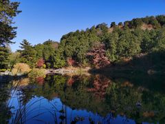 -香山公园
