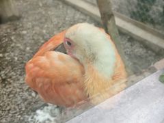 -青藏高原野生动物园