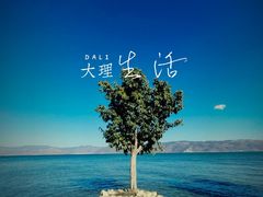 -大理洱海