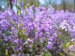 -瀛海足球主题公园