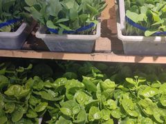 -老阿爸江浙土菜(前进东路店)