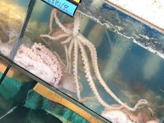 -胖大嫂渔家排档·全海景餐厅(渔村店)