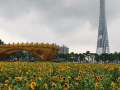 -海心沙亚运公园