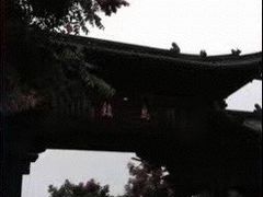 -乌镇东栅景区
