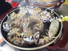 -蚝专家(北滘店)