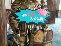 -重庆海昌加勒比海水世界