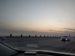 -合肥滨湖国家森林公园