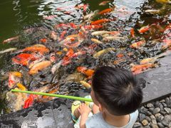 -三亚湾海居雅高铂尔曼度假酒店