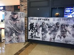 -SFC上影影城(北京大兴龙湖天街IMAX店)