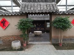 -上海都市菜园