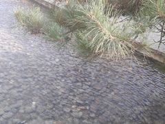-中国艺术研究院油画院