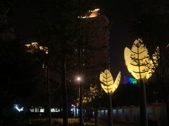 -活水公园