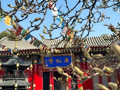 -西安市广仁寺